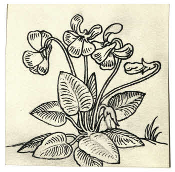 Visualizza l'immagine "FD D 1694"